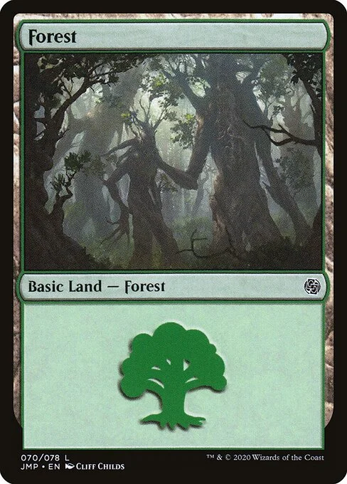 Forest, carta Magic di tipo Basic Land — Forest illustrata da Cliff Childs