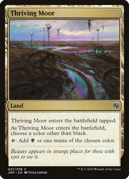 Thriving Moor, carta Magic di tipo Land illustrata da Titus Lunter