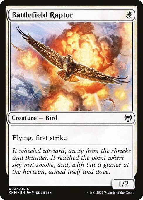 Battlefield Raptor, carta Magic di tipo Creature — Bird illustrata da Mike Bierek