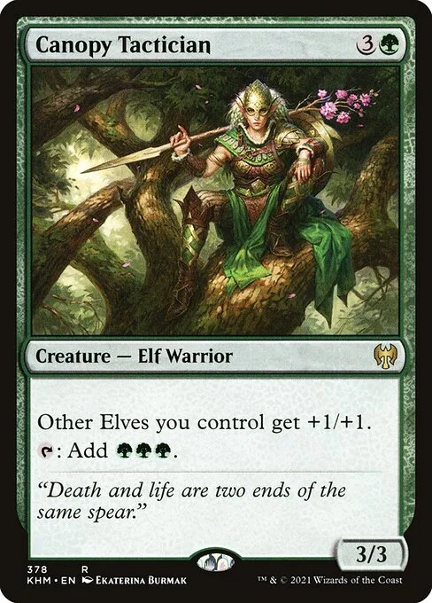 Canopy Tactician, carta Magic di tipo Creature — Elf Warrior illustrata da Ekaterina Burmak
