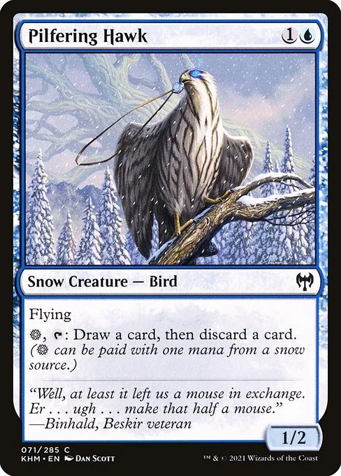 Pilfering Hawk, carta Magic di tipo Snow Creature — Bird illustrata da Dan Murayama Scott