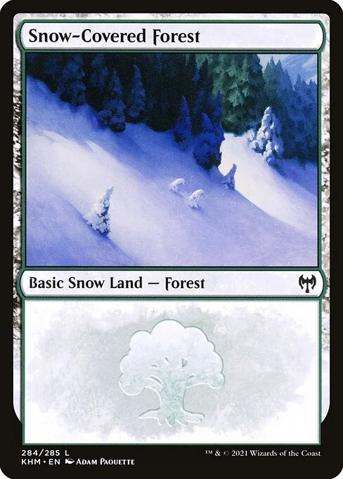 Snow-Covered Forest, carta Magic di tipo Basic Snow Land — Forest illustrata da Adam Paquette