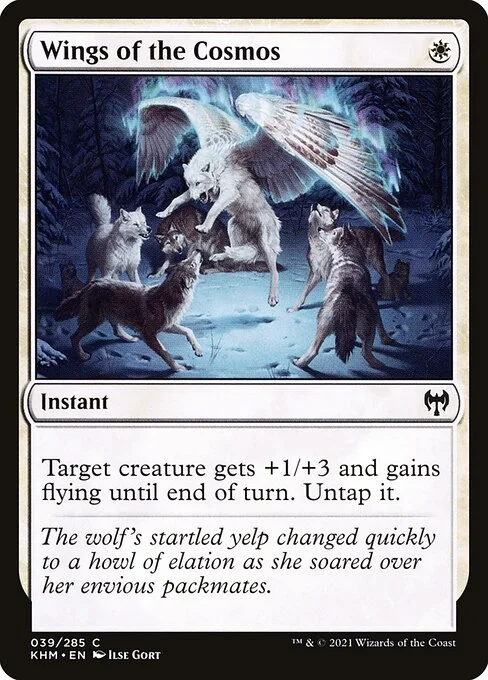 Wings of the Cosmos, carta Magic di tipo Instant illustrata da Ilse Gort
