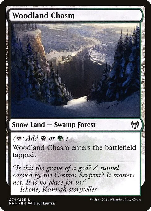 Woodland Chasm, carta Magic di tipo Snow Land — Swamp Forest illustrata da Titus Lunter