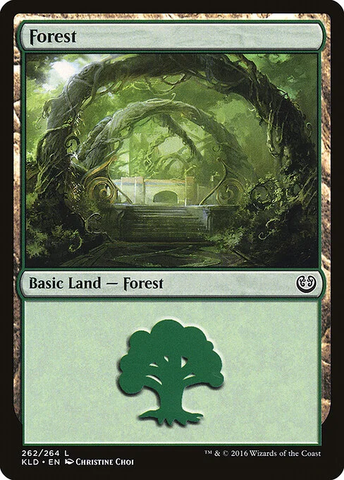 Forest, carta Magic di tipo Basic Land — Forest illustrata da Christine Choi