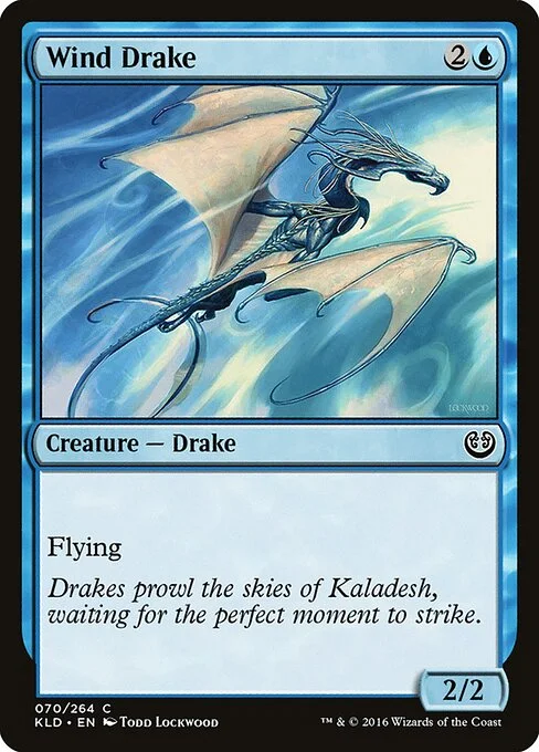 Wind Drake, carta Magic di tipo Creature — Drake illustrata da Todd Lockwood