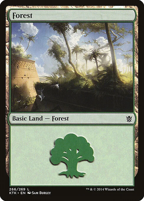 Forest, carta Magic di tipo Basic Land — Forest illustrata da Sam Burley