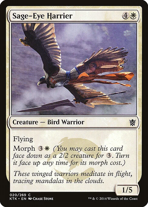 Sage-Eye Harrier, carta Magic di tipo Creature — Bird Warrior illustrata da Chase Stone