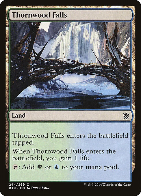 Thornwood Falls, carta Magic di tipo Land illustrata da Eytan Zana