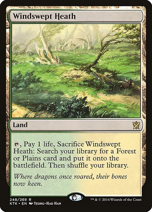 Windswept Heath, carta Magic di tipo Land illustrata da Yeong-Hao Han