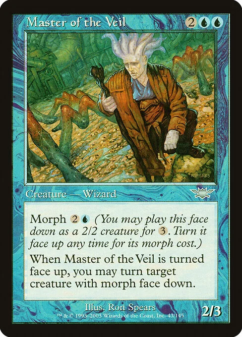 Master of the Veil, carta Magic di tipo Creature — Human Wizard illustrata da Ron Spears