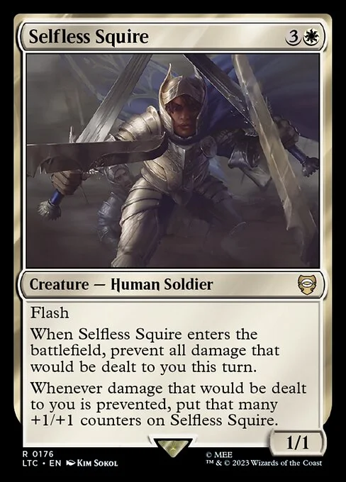Selfless Squire, carta Magic di tipo Creature — Human Soldier illustrata da Kim Sokol