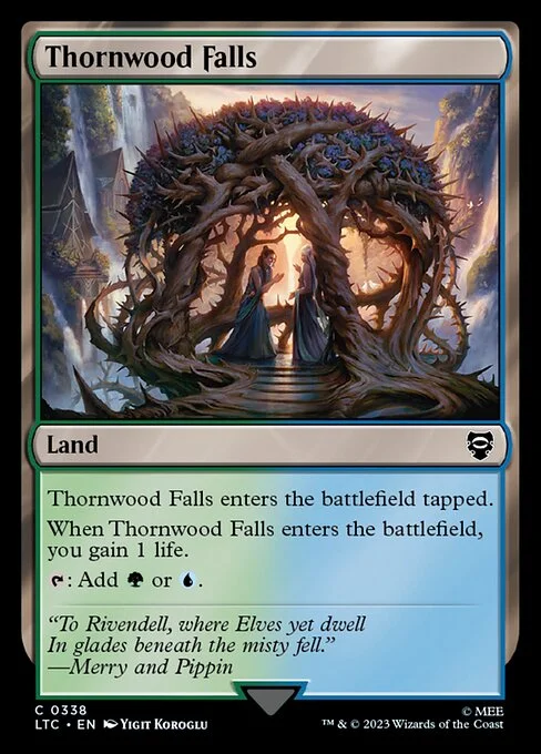 Thornwood Falls, carta Magic di tipo Land illustrata da Yigit Koroglu