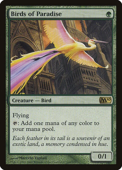 Birds of Paradise, carta Magic di tipo Creature — Bird illustrata da Marcelo Vignali