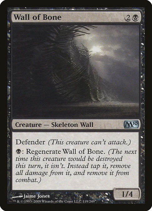 Wall of Bone, carta Magic di tipo Creature — Skeleton Wall illustrata da Jaime Jones