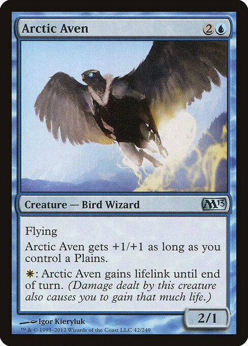 Arctic Aven, carta Magic di tipo Creature — Bird Wizard illustrata da Igor Kieryluk