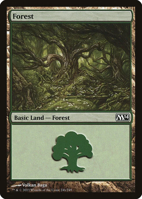 Forest, carta Magic di tipo Basic Land — Forest illustrata da Volkan Baǵa