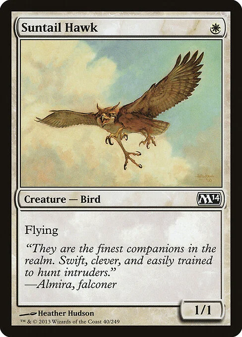 Suntail Hawk, carta Magic di tipo Creature — Bird illustrata da Heather Hudson