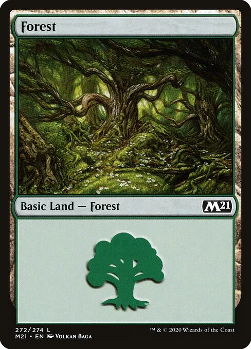 Forest, carta Magic di tipo Basic Land — Forest illustrata da Volkan Baǵa