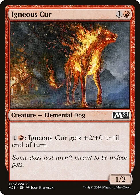 Igneous Cur, carta Magic di tipo Creature — Elemental Dog illustrata da Igor Kieryluk