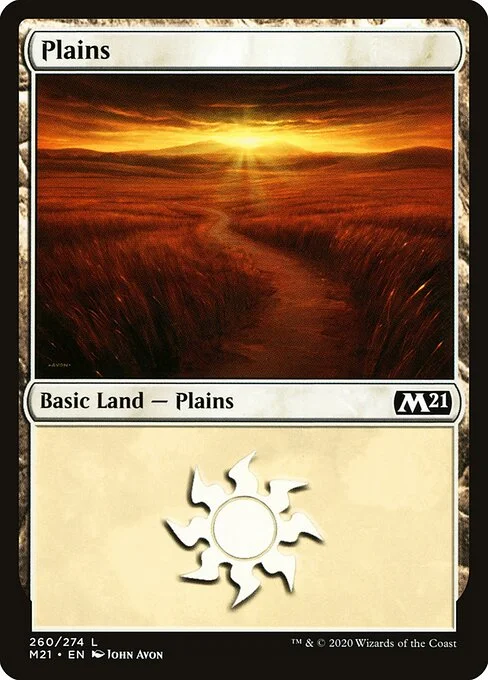 Plains, carta Magic di tipo Basic Land — Plains illustrata da John Avon