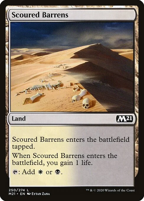 Scoured Barrens, carta Magic di tipo Land illustrata da Eytan Zana