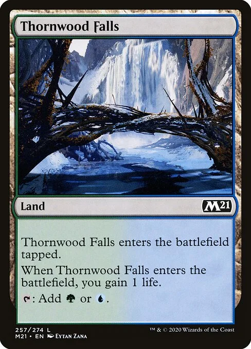 Thornwood Falls, carta Magic di tipo Land illustrata da Eytan Zana