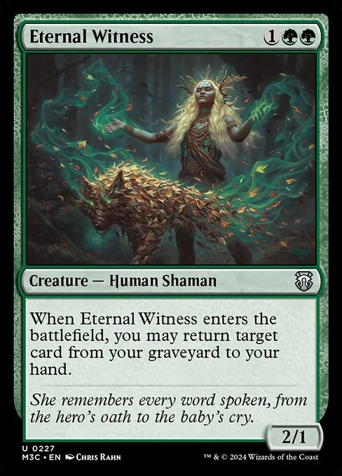 Eternal Witness, carta Magic di tipo Creature — Human Shaman illustrata da Chris Rahn