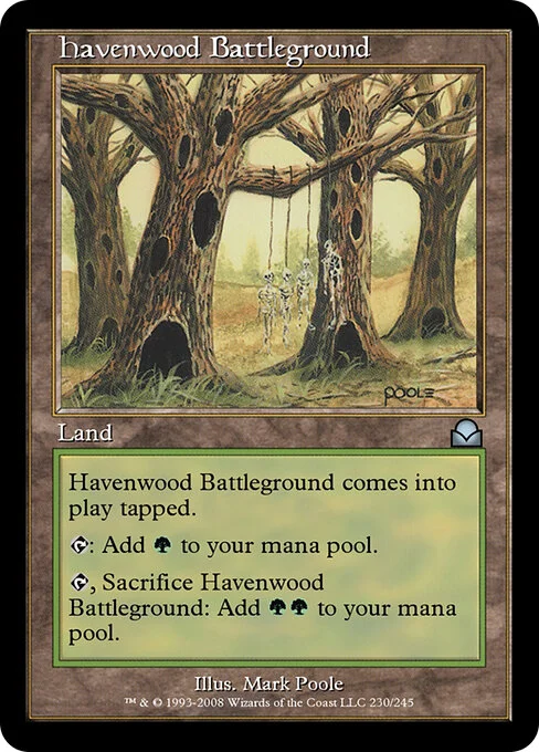 Havenwood Battleground, carta Magic di tipo Land illustrata da Mark Poole
