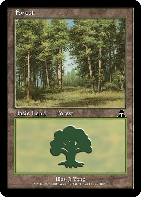 Forest, carta Magic di tipo Basic Land — Forest illustrata da Ji Yong