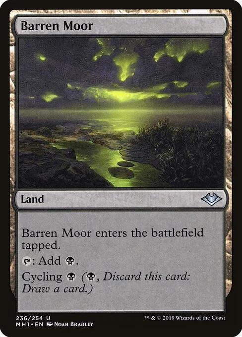 Barren Moor, carta Magic di tipo Land illustrata da Noah Bradley