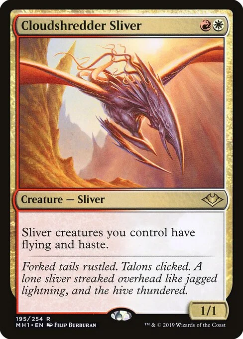 Cloudshredder Sliver, carta Magic di tipo Creature — Sliver illustrata da Filip Burburan