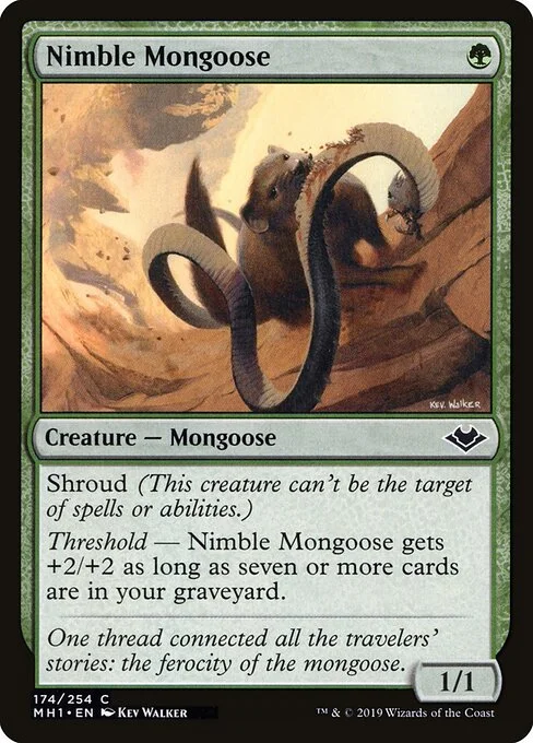 Nimble Mongoose, carta Magic di tipo Creature — Mongoose illustrata da Kev Walker