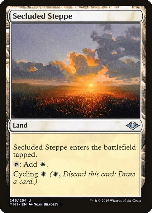 Secluded Steppe, carta Magic di tipo Land illustrata da Noah Bradley