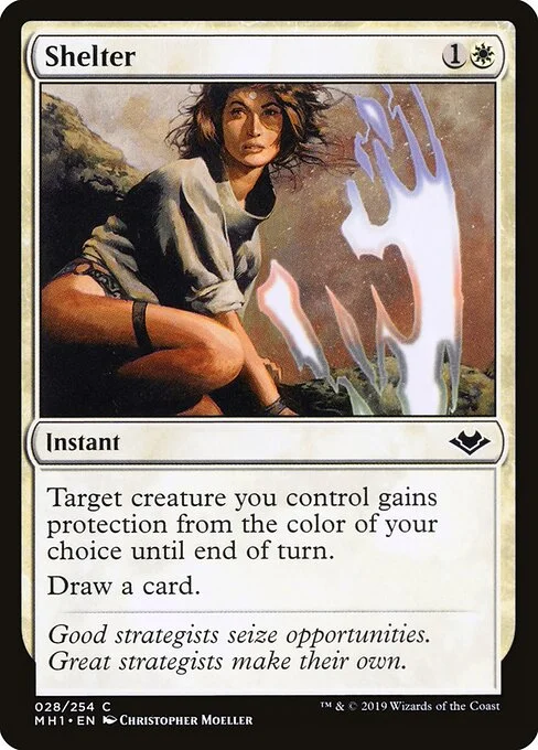 Shelter, carta Magic di tipo Instant illustrata da Christopher Moeller