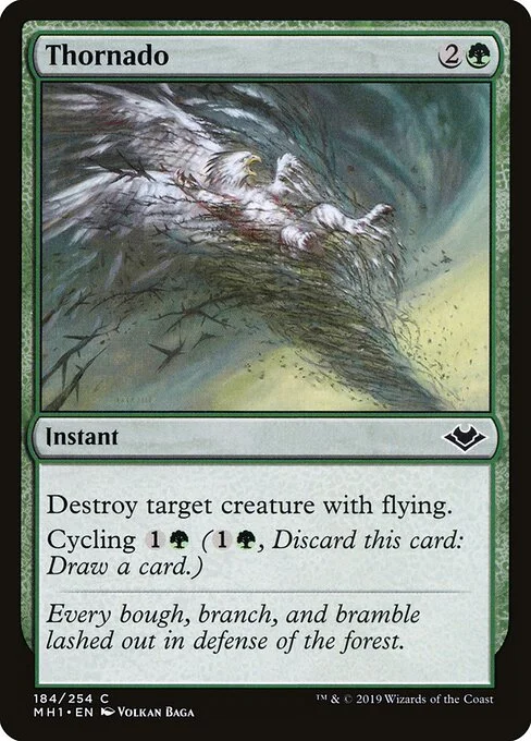 Thornado, carta Magic di tipo Instant illustrata da Volkan Baǵa