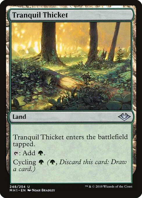 Tranquil Thicket, carta Magic di tipo Land illustrata da Noah Bradley