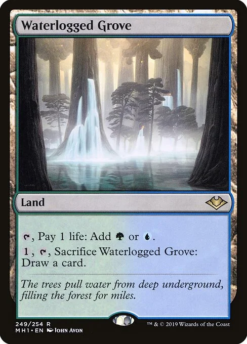 Waterlogged Grove, carta Magic di tipo Land illustrata da John Avon