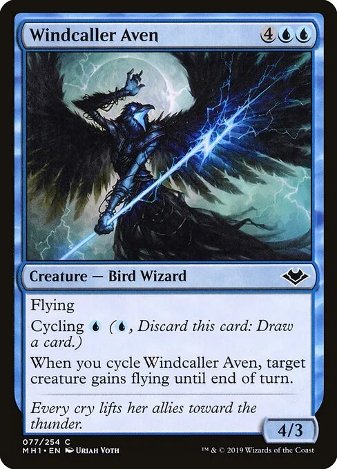 Windcaller Aven, carta Magic di tipo Creature — Bird Wizard illustrata da Uriah Voth