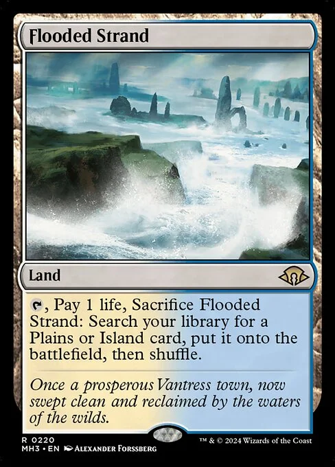 Flooded Strand, carta Magic di tipo Land illustrata da Alexander Forssberg
