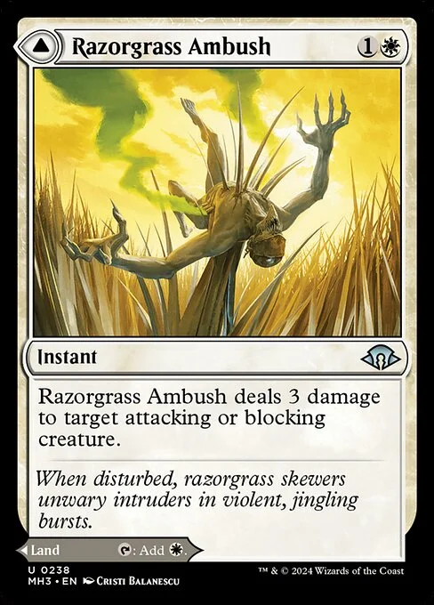 Razorgrass Ambush // Razorgrass Field, carta Magic di tipo Instant // Land illustrata da Cristi Balanescu