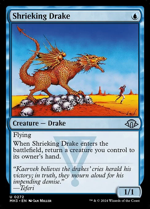 Shrieking Drake, carta Magic di tipo Creature — Drake illustrata da Ian Miller