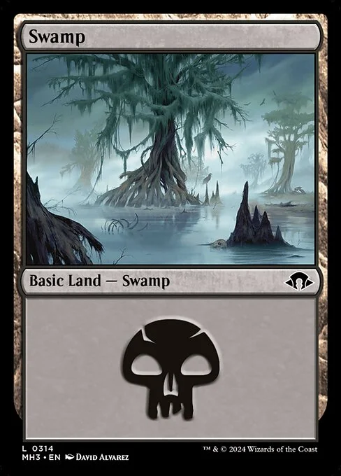 Swamp, carta Magic di tipo Basic Land — Swamp illustrata da David Álvarez