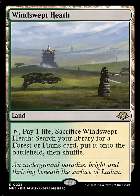 Windswept Heath, carta Magic di tipo Land illustrata da Alexander Forssberg