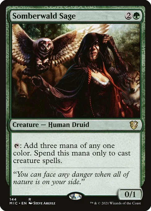 Somberwald Sage, carta Magic di tipo Creature — Human Druid illustrata da Steve Argyle