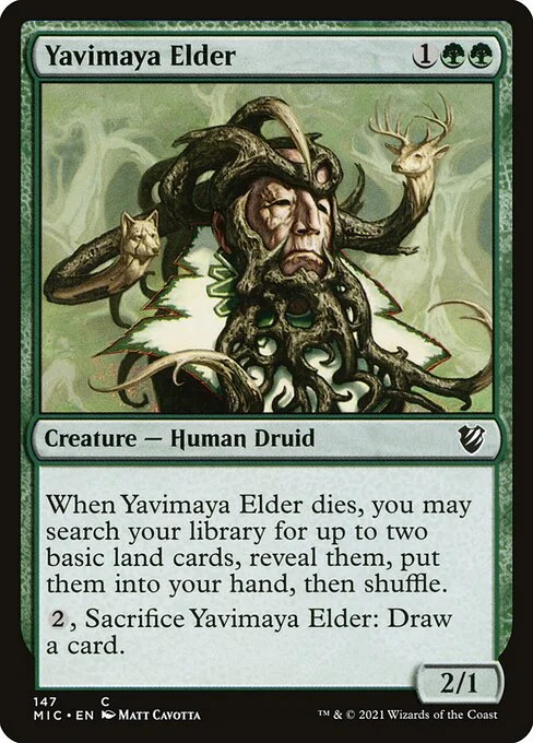 Yavimaya Elder, carta Magic di tipo Creature — Human Druid illustrata da Matt Cavotta