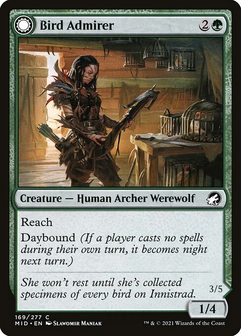 Bird Admirer // Wing Shredder, carta Magic di tipo Creature — Human Archer Werewolf // Creature — Werewolf illustrata da Slawomir Maniak