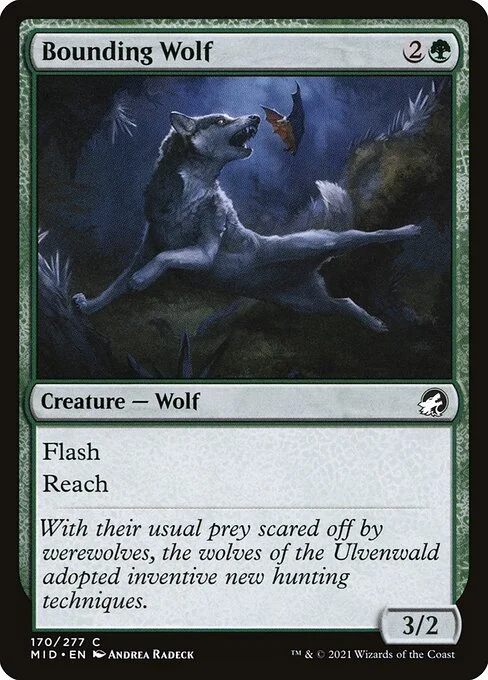 Bounding Wolf, carta Magic di tipo Creature — Wolf illustrata da Andrea Radeck