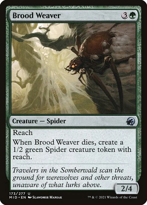 Brood Weaver, carta Magic di tipo Creature — Spider illustrata da Slawomir Maniak