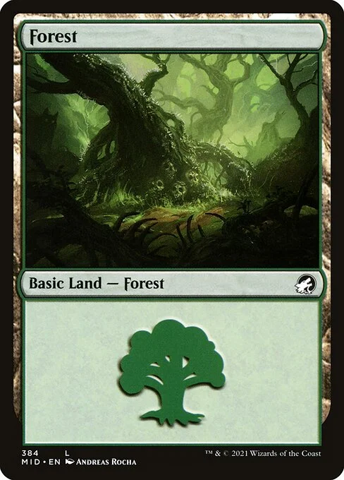 Forest, carta Magic di tipo Basic Land — Forest illustrata da Andreas Rocha
